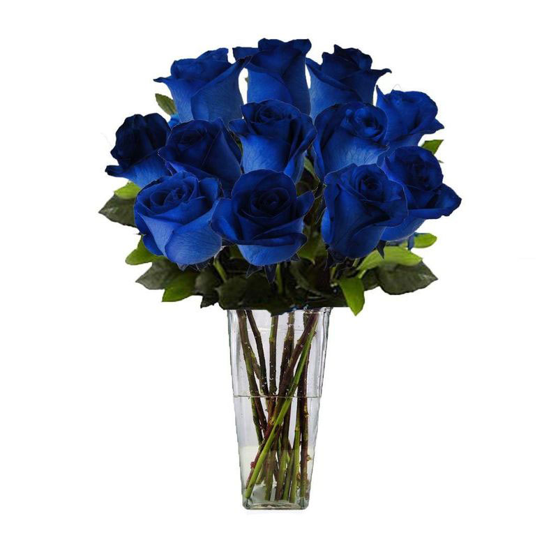 Make Every Occasion Unforgettable