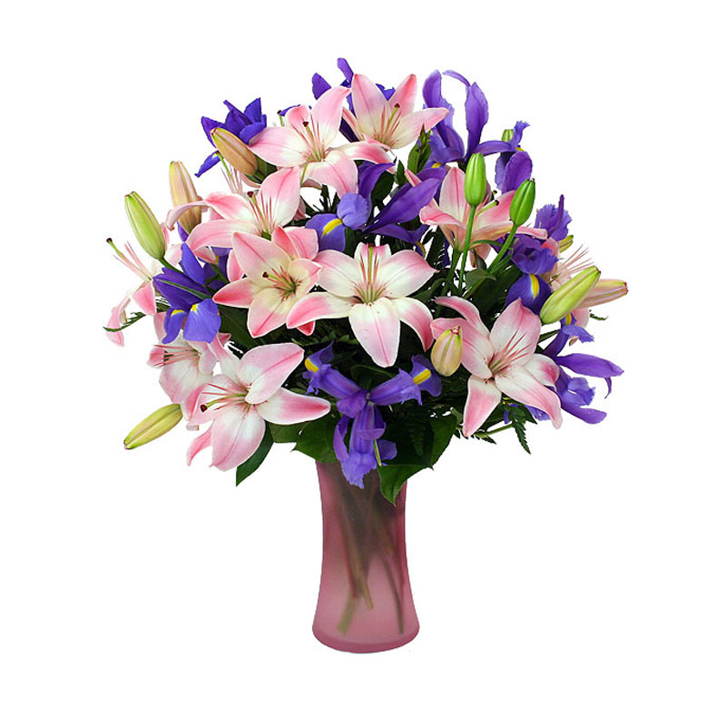 Star Sprinkle Celebration