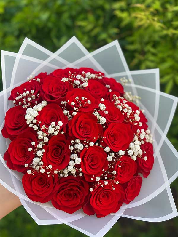 Red & White Classic Roses