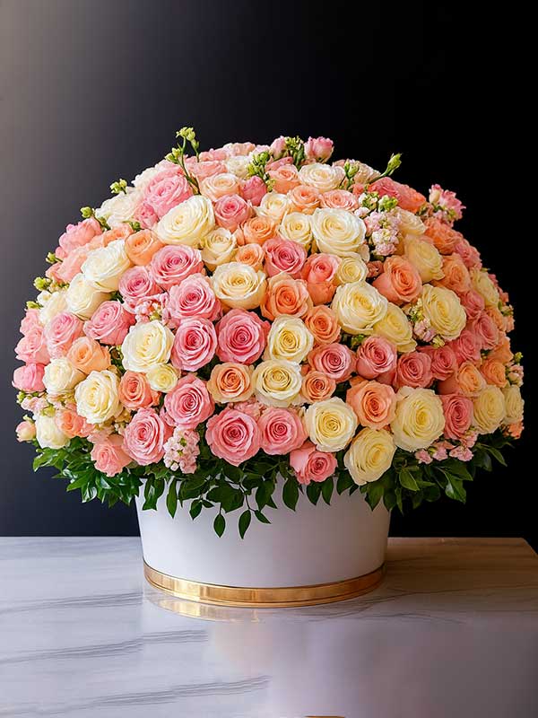 Grand Triple Colour Box