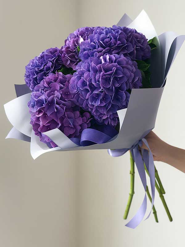 Classic Purple Hydrangea Bloom Bunch