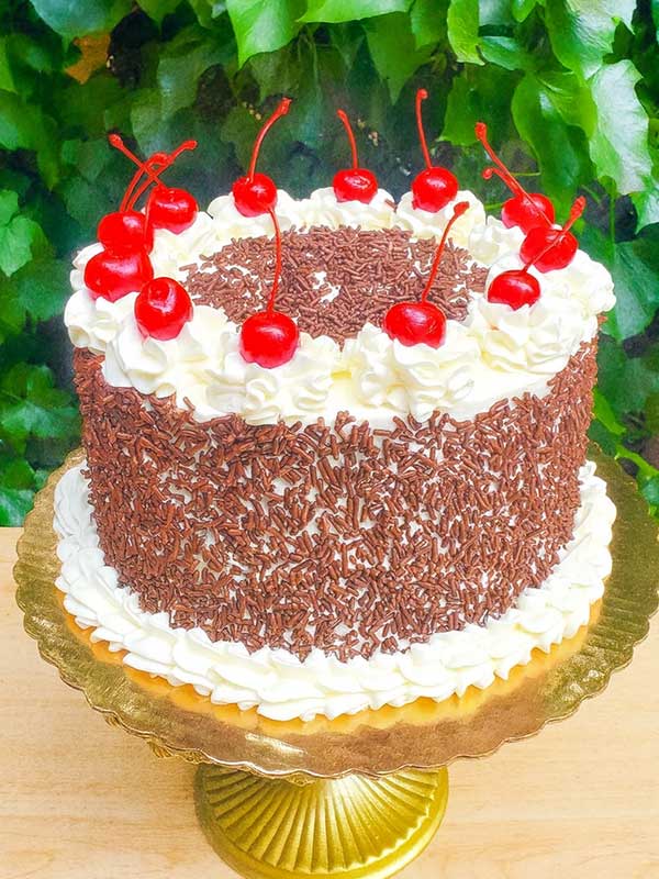 Chocolate Cherry Elegance