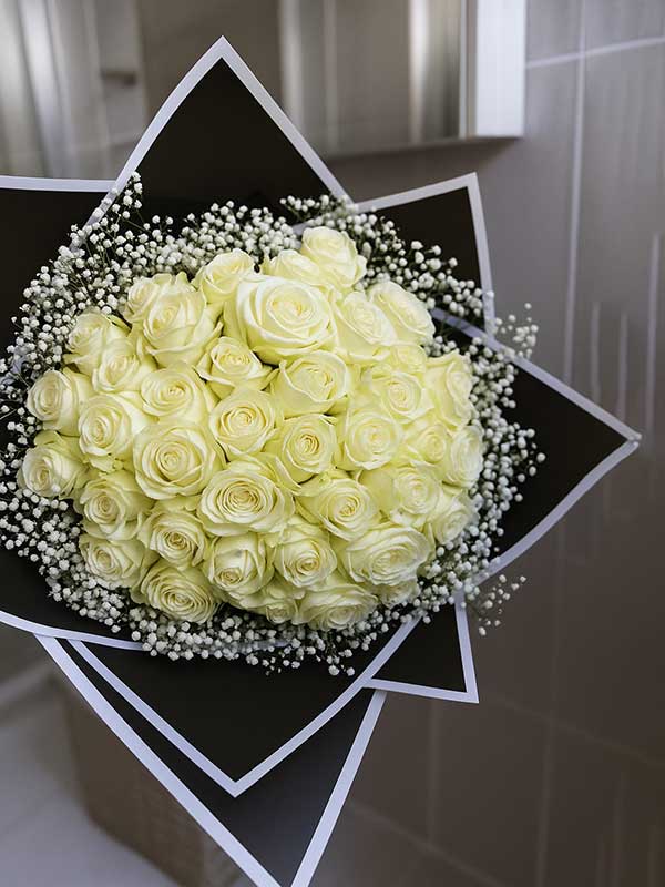 White Velvet Eleganc