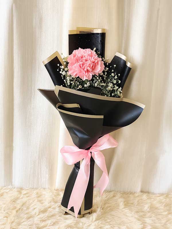 Single Pink Carnation